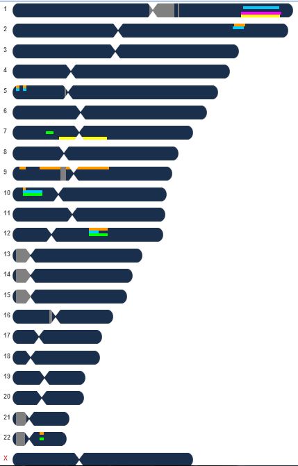 Paul's DNA FTDNA