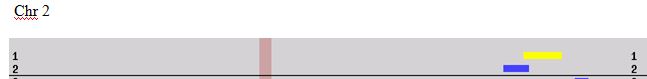 Sharon Chr 2 Gedmatch Browser Paul Jonathan