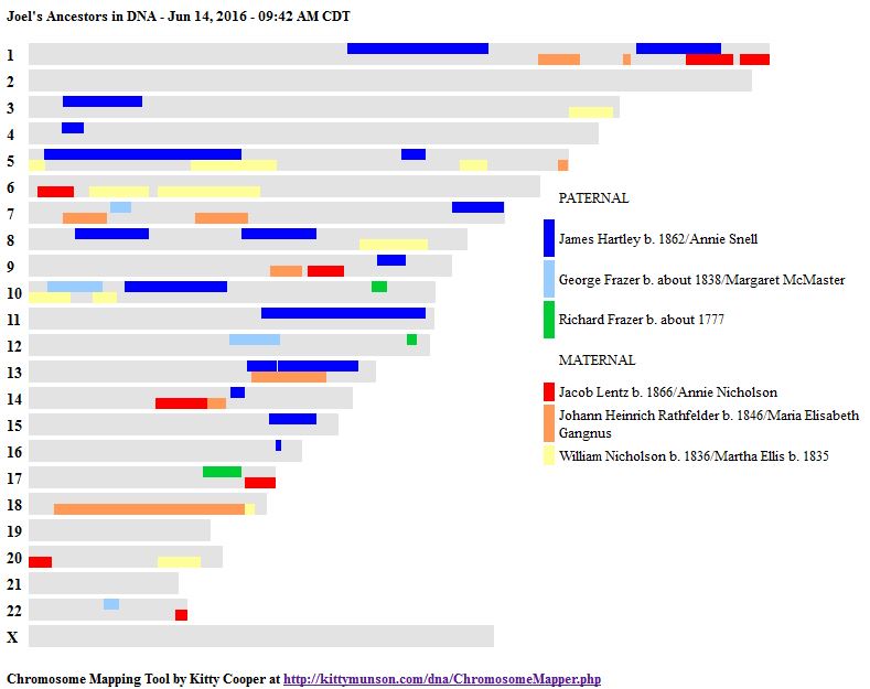 Joel Chromosome Map