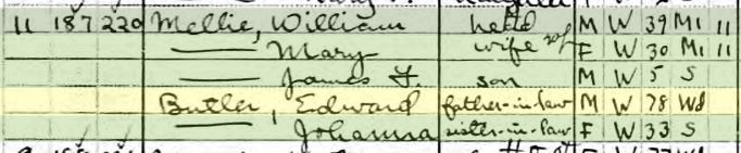 1910 Census Newton Mellie (33K)